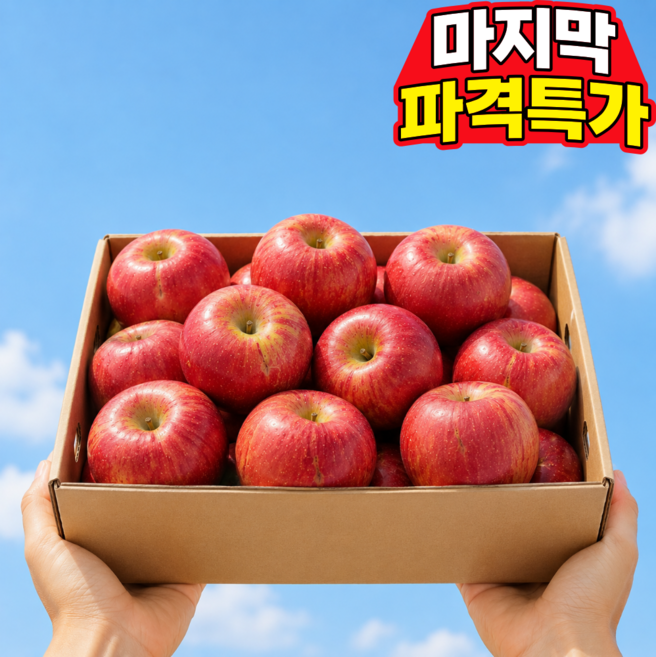 [2차완판특가] 수량한정 초특가할인 고당도 못난이사과, 1박스, 10kg