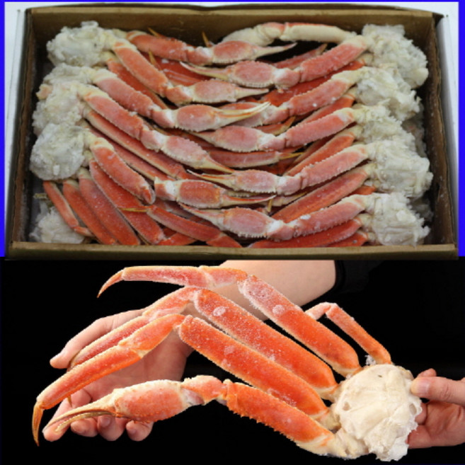 스노우크랩 대게 5KG 러시아 마가단 자숙 박달 대게 (냉동 수산물 장터), 4L, 1개