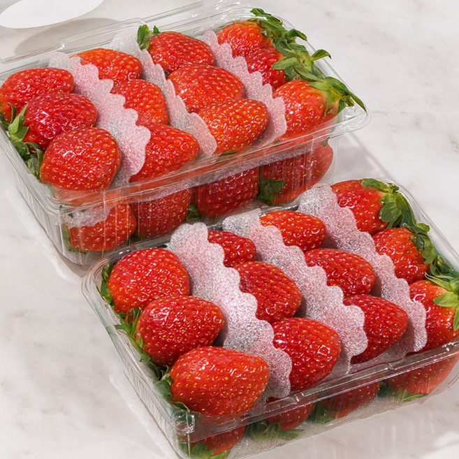 [산지직송] 고당도 설향 딸기 프리미엄 생 딸기, 1개, 딸기 (특대) 1kg(2팩)