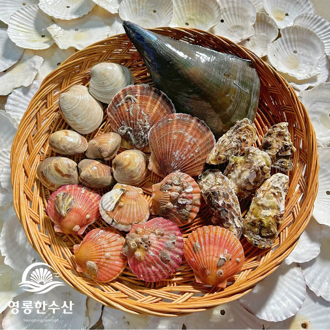 영롱한수산 제철 모듬 조개 커플세트 (6가지 종류) 2.5~3kg