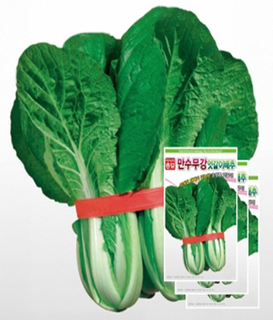 아시아종묘 씨앗 배추 만수무강엇갈이 20g, 3개