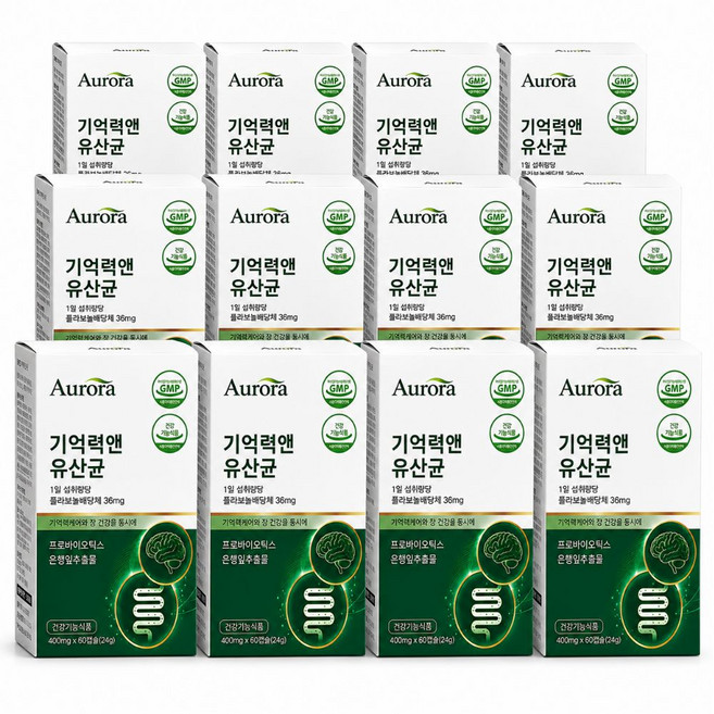 장 뇌 기억력유산균 식약청인증/ 15박스구매시 여에스더 장뇌유산균 nk4146 1박스 증정, 12개, 60정
