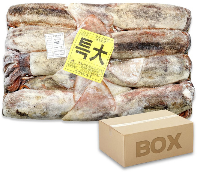 선동오징어 특대 10kg 원양산 포클랜드 냉동오징어, 1박스