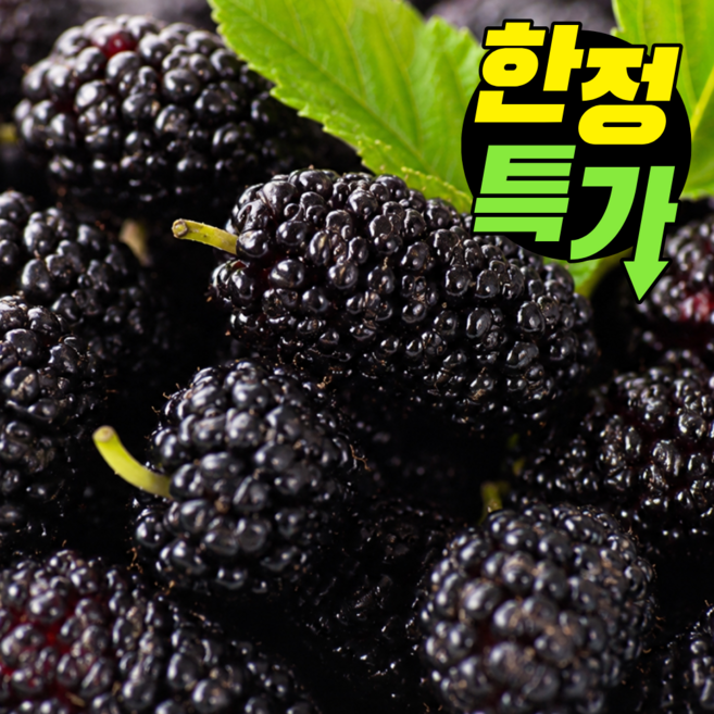 [50박스한정] 오디나라 국산 햇 오디(냉동), 1개, 5kg