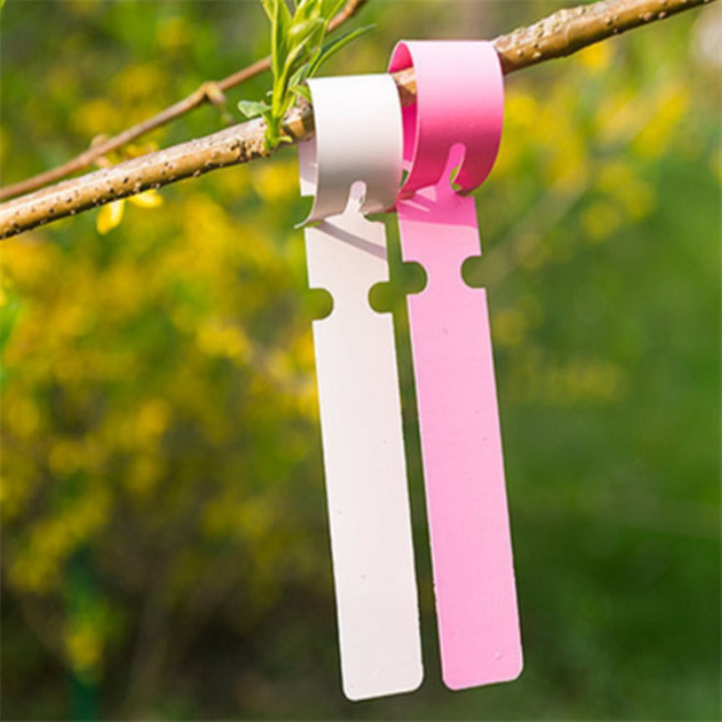 위니 나무표찰 200p 나무명찰 수목표찰 나무푯말 수목명패, 흰색