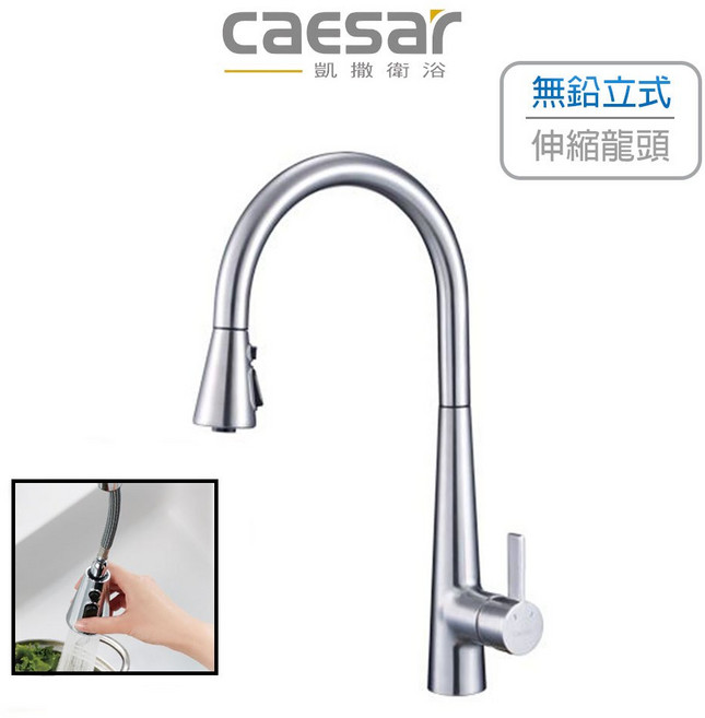 Caesar 凱撒 無鉛立式伸縮廚房水栓 K905CSL, 1個, K905CSL (不鏽鋼色)
