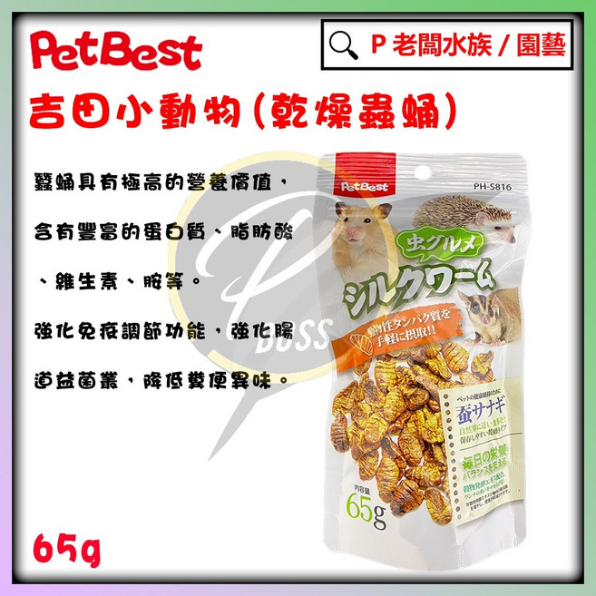 PetBest 吉田小動物乾燥蟲蛹 高蛋白乾燥蠶蛹 倉鼠/刺蝟/蜜袋鼯零食, 1個