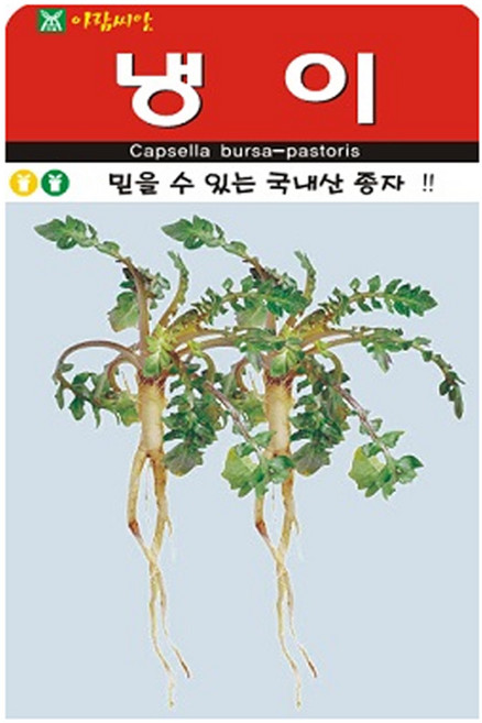냉이 씨앗 3종세트 나물 종자 씨, 3개