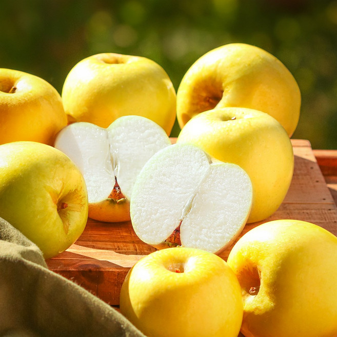 [300박스 한정수량] 백화점 납품용 시나노 골드 황금 사과 선물세트, 1세트, 정품 3kg(9-10과)