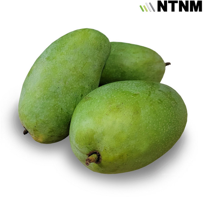 엔티몰 베트남 그린망고(Vietnam Green Mango), 1개, 1.0kg