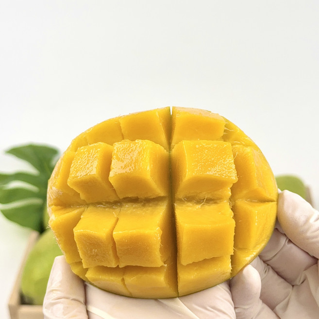 베트남 그린망고 새콤한 생과일 동남아 열대과일, 1박스, 1kg