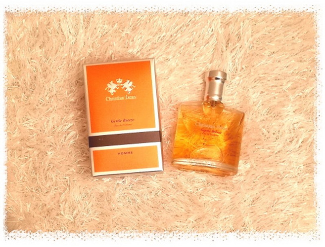 크리스찬 딘 포 옴므 오데 퍼퓸 50ml (남자향수), 1개