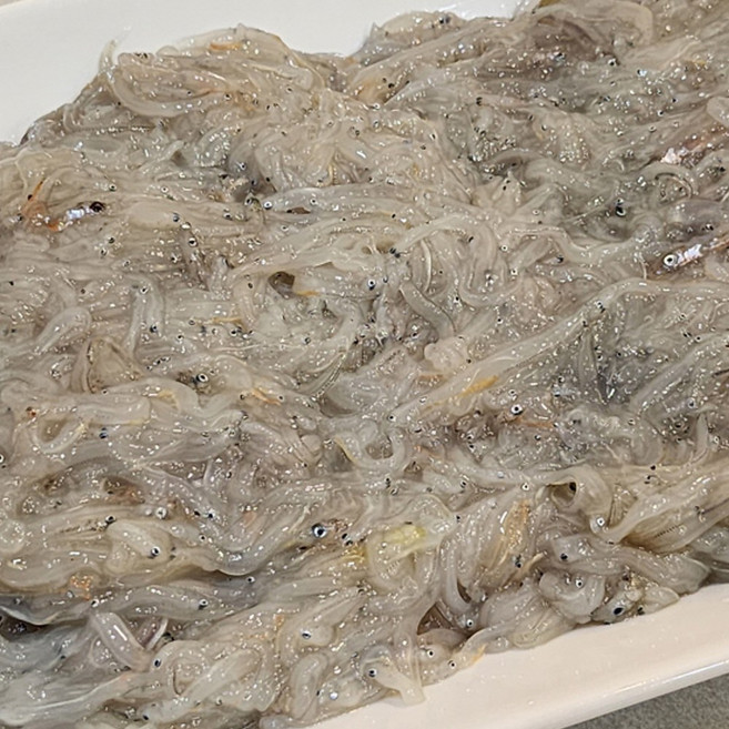 서해안 급냉 실치 300그램 600그램 제철 냉동실치 국내산실치, 1박스, 국내산 급냉 실치 300g