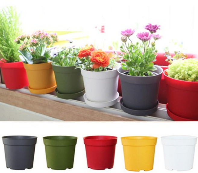 세경팜 컬러베이직 플라스틱 화분 받침세트, 레드, 5개