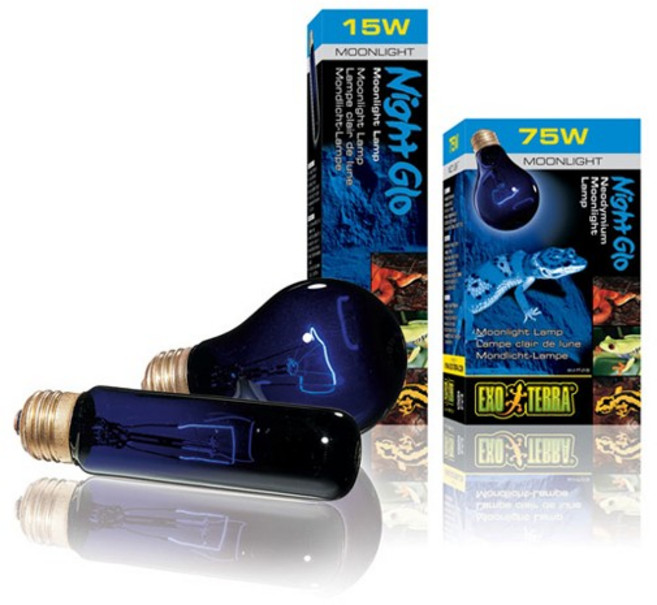 엑소테라 나이트글로 램프 [75w], 1개