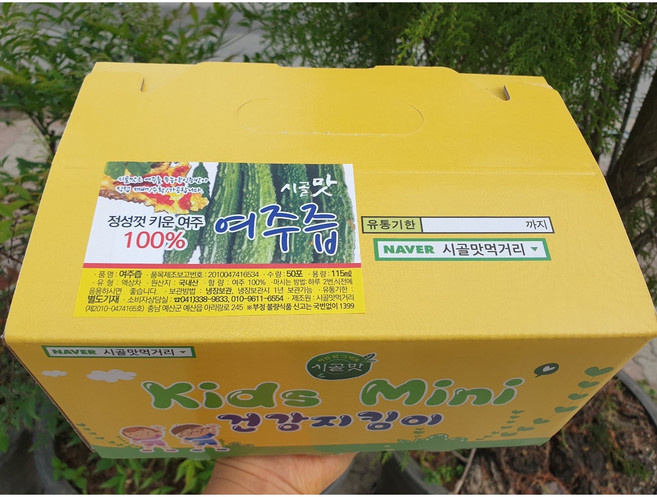 시골맛 직접 농사지은 여주100%를 10시간 이상 우려낸 여주즙 박스 포장 단위별 25포/60포/120포, 25개, 2.25L