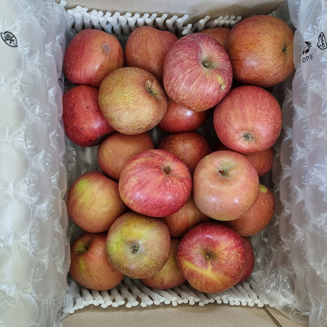 진기가득 부사 가정용 2kg 8 - 11과 못난이 사과, 1개, 단품