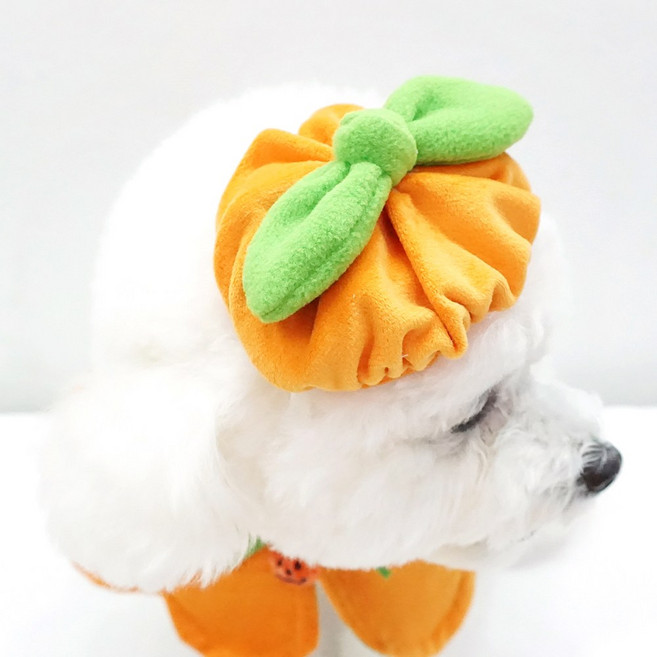 할로윈 호나미네 강아지 고양이 호박 모자, 1개