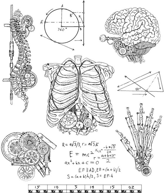 팀 홀츠 스탬퍼 아논 클링 RBBR 스탬프 세트 SCIE 기묘한 과학