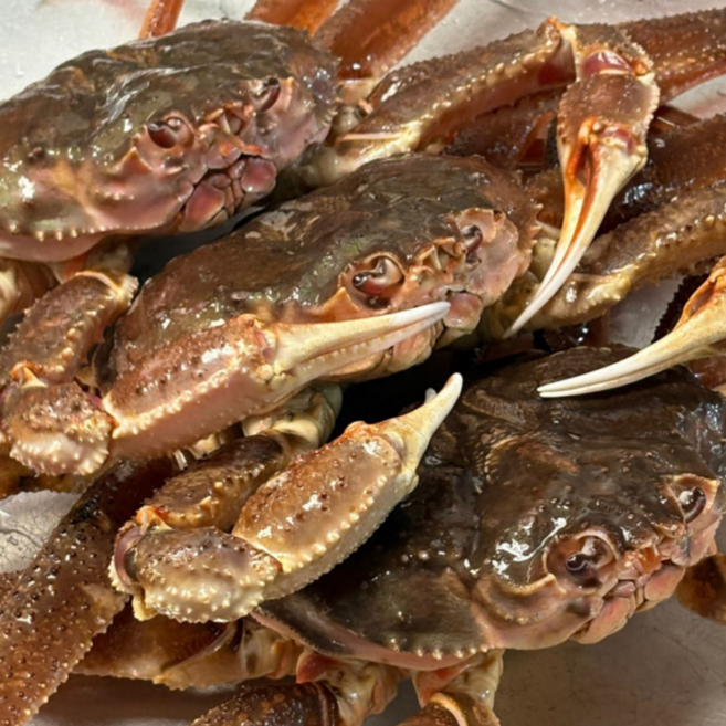 바닷간 자숙 러시아 대게 선주직송, 1개, 1kg (1미)