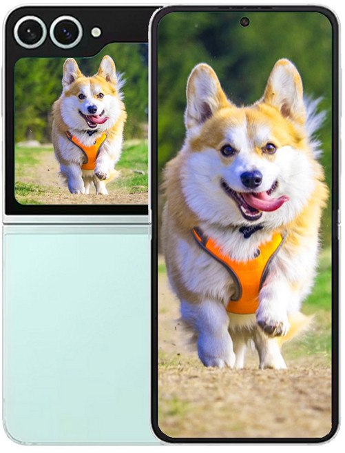 삼성전자 갤럭시 Z 플립6, 256GB, Mint (민트)