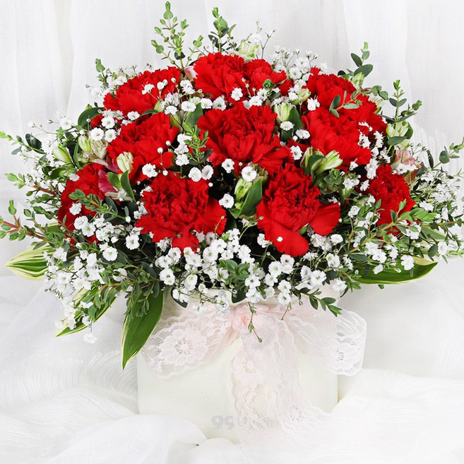 (오늘도착) 어버이날 카네이션 꽃상자 레드카네이션 안개꽃 생화 부모님선물 어버이날선물 카네이션꽃상자 효도선물 당일꽃배달 [ST-B390]