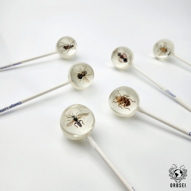 곤충 일러스트 Part1 by Orbsei (마쉬멜로우맛) / 특이한사탕 서프라이즈 포토아트캔디 수제사탕, 140g