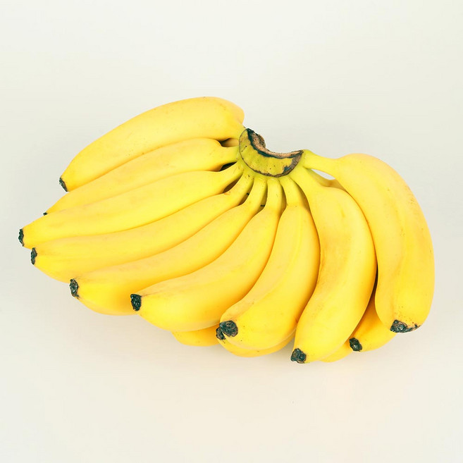 고당도 바나나 13kg 1박스, 9수-8수 13kg