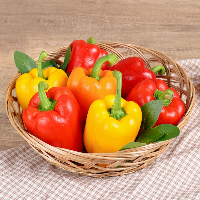 가정용 파프리카(빨/노), 1박스, 1kg