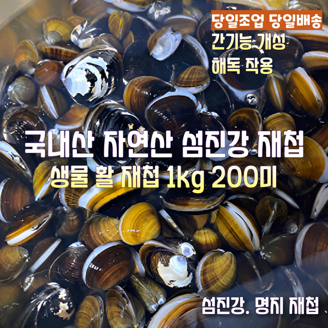 [산지직송] 국내산 자연산 섬진강 명지 햇 생물 재첩 활재첩 1kg 200미 내외. 2kg 400미 내외 4kg 800미 내외, 1박스, 섬진강 명지 햇 생물 재첩 1kg 200미 내외