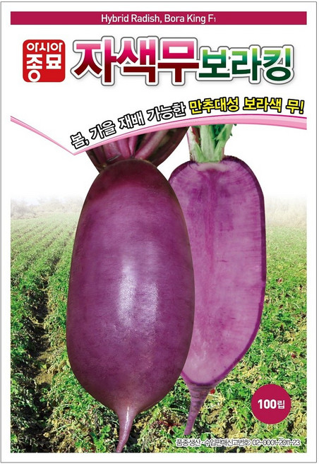 [주주씨앗] 자색무 씨앗 100립 / F1교배종 봄 가을 만추대성 김장용 무 종자 / 가을 파종 채소씨앗 씨앗몰, 1개