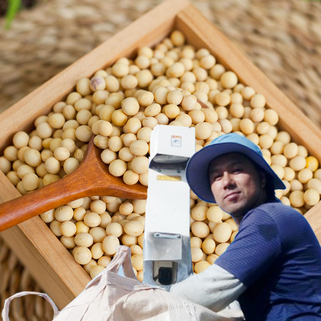 국산 유기농 백태 1kg 노란콩 친환경 대두콩, 1개