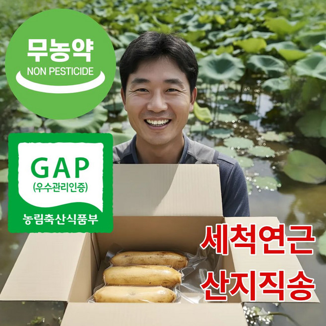 더맛곳간 무농약 국산 햇 생 손질 통 세척 연근 GAP인증 국내산 진공포장, 1개, 1kg