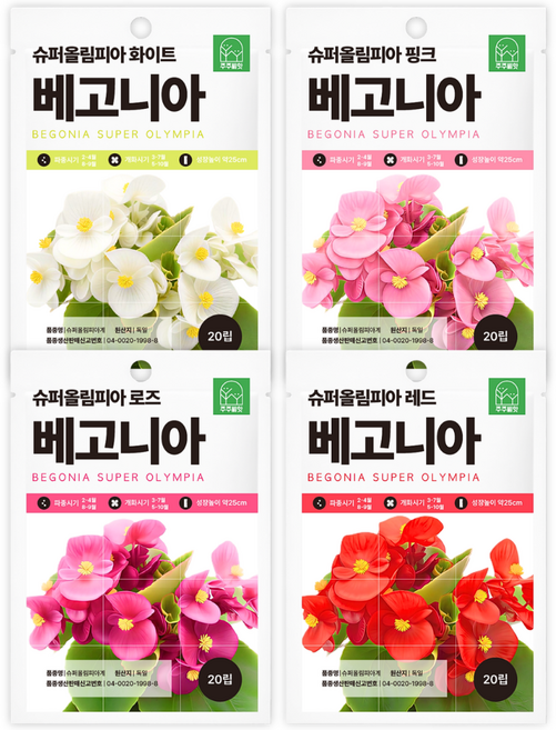 2위 - 주주씨앗 F1교배종 베고니아씨앗 4종세트 키작은 꽃씨 꽃씨앗 몰 봄 가을 파종 작물 실내연중파종 슈퍼올림피아