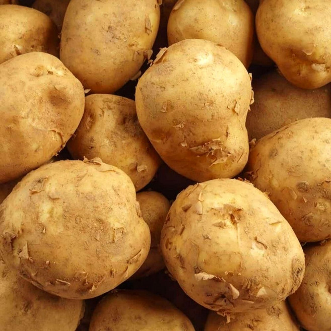 이른밭 국내산 햇 감자 수미 감자, 1개, 5kg (중)