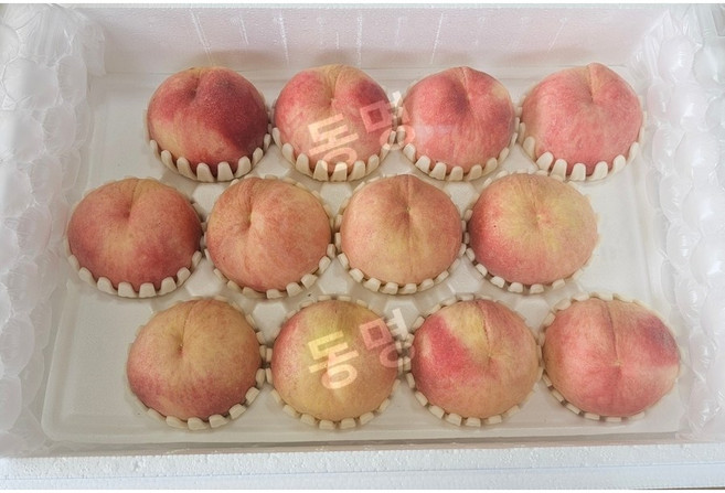 동명 국내산 특대과 백도 복숭아 특품 당도선별 아이스박스 포장, 1박스, 1kg, 하우스