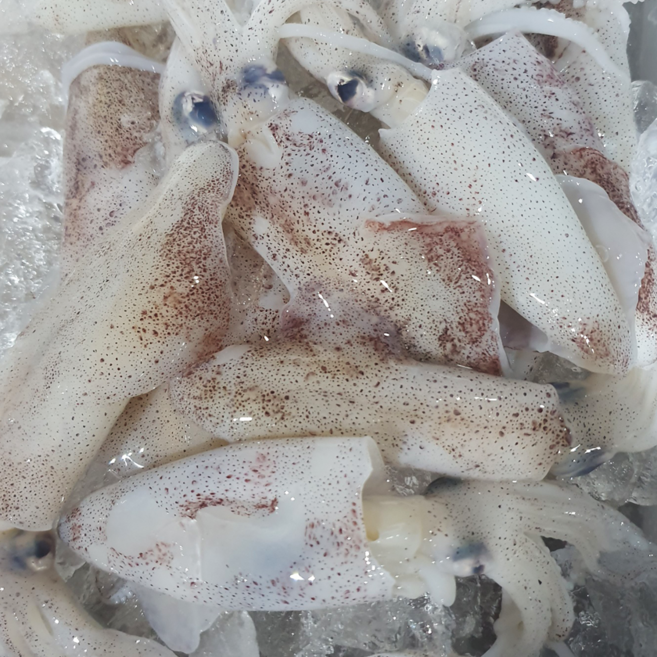 선주직송 한치, 1박스, 급냉 2kg (25-52미)