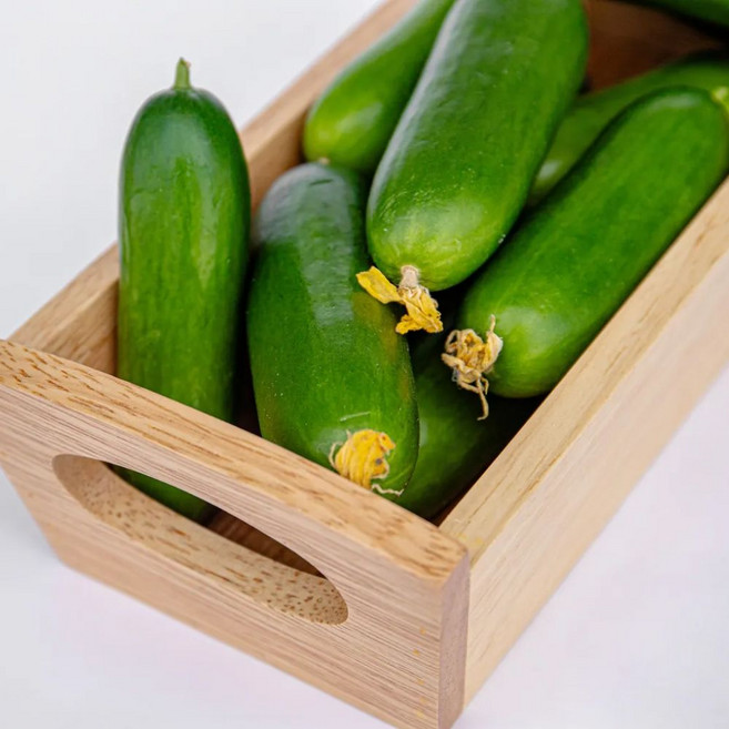 하나의팜 국내산 미니오이 스낵오이, 1박스, 500g