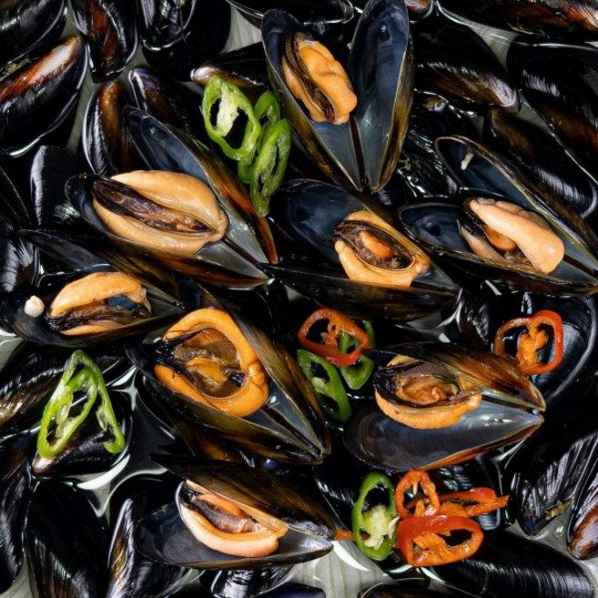 산지직송 국내산 통영 통통 다듬이 손질 세척 새피 햇 홍합, 1박스, 통영 통통 다듬이 새피 햇 홍합 2kg