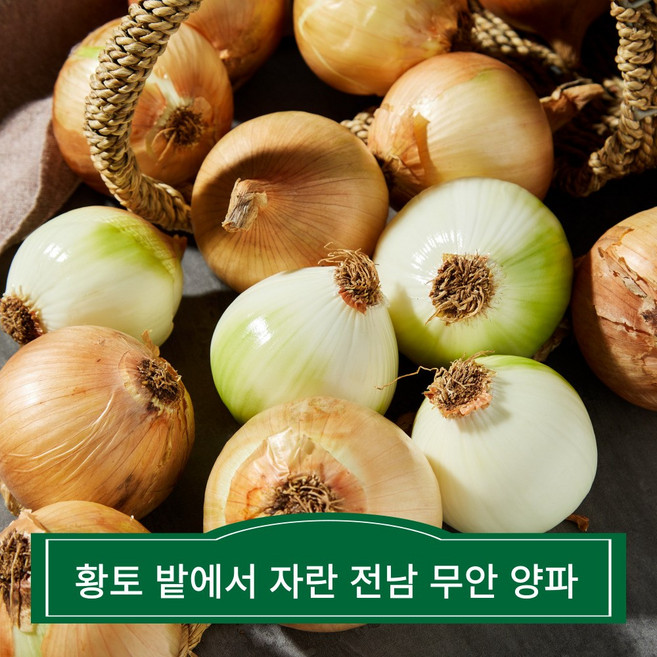 황토밭에서 자란 전남 무안 양파 단단하고 아삭한 햇양파 ISO인증 업체, 1개, 3KG