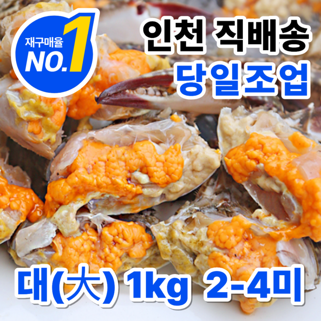 소담어반 서해안 활 생물 알배기 암꽃게 당일조업 산지직송, 1박스, 1kg(대자)