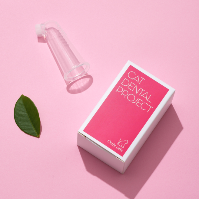 캣디피 CATDP 플라워핑거칫솔, 1개, 투명