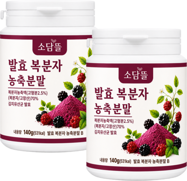 소담뜰 고창 복분자 분말 가루 국내산 발효복분자, 2개, 140g