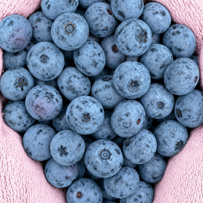국내산 신선한 생블루베리 생과 대과, 1개, 14mm 1팩, 100g