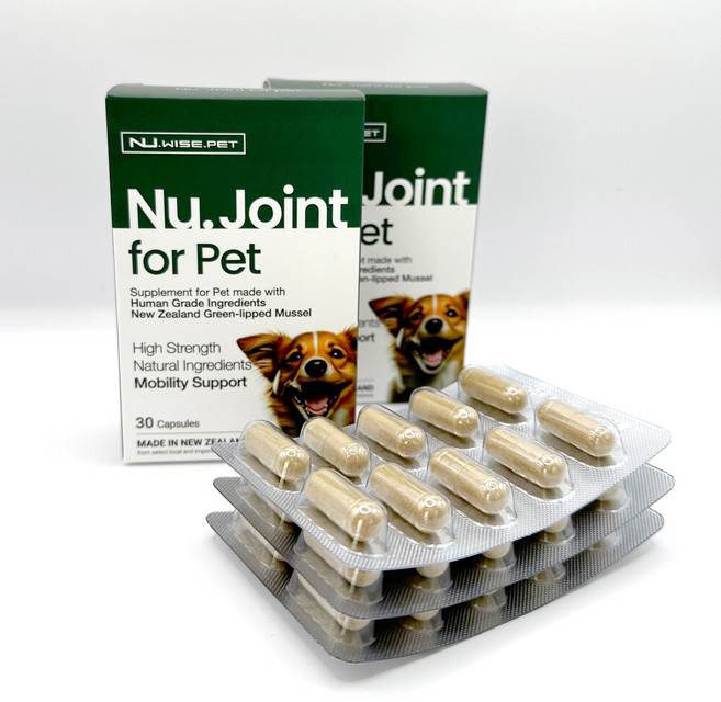 뉴와이즈 슬개골 조인트 포 펫 강아지 초록입홍합+콘드로이친+글루코사민+보스웰리아 영양제 30캡슐 x 1개, 30개