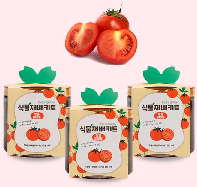 마이팜 실내텃밭 식물키우기 베란다 식물재배키트 화분11종, 01_방울토마토3개