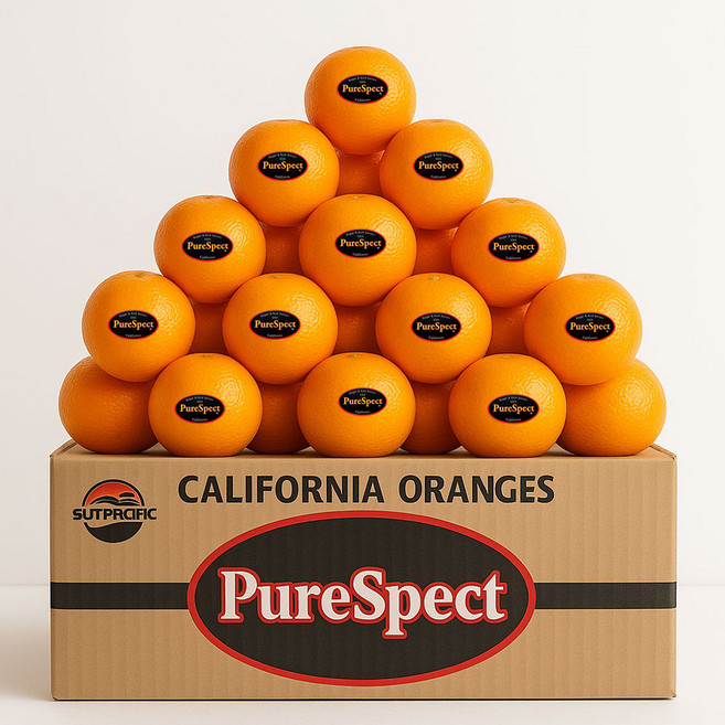 [[마트 납품용] 고당도 퓨어스펙 블랙라벨 오렌지 72대과, 1박스, 오렌지 10과 (대과)