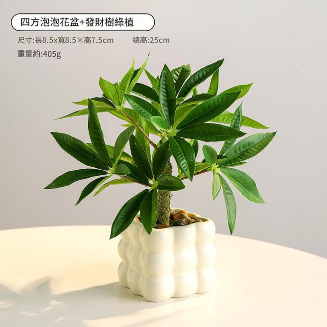 Life 陶瓷盆景花 - 白牡丹, 四方泡泡花盆 發財樹綠植, 1個