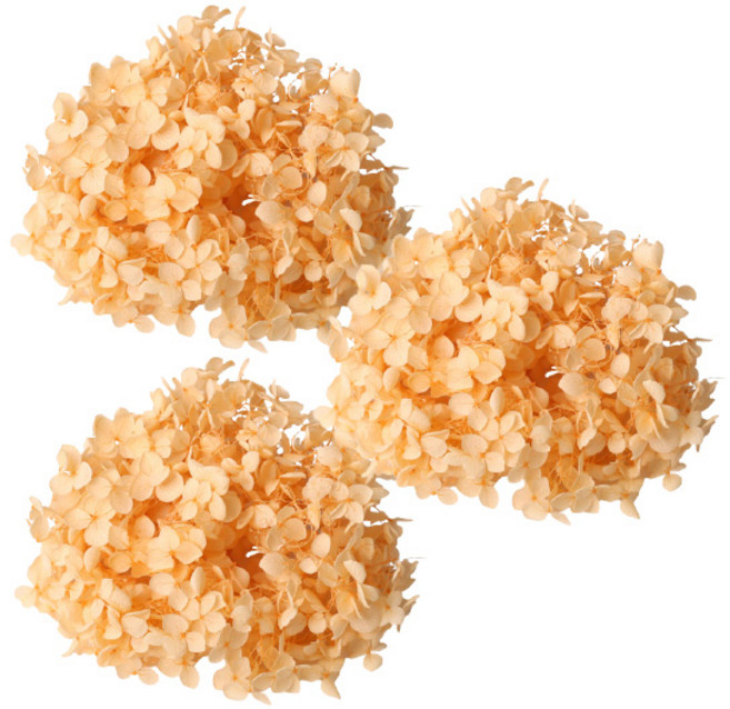 로맨틱노벰버 프리저브드 수국 3P, 오렌지