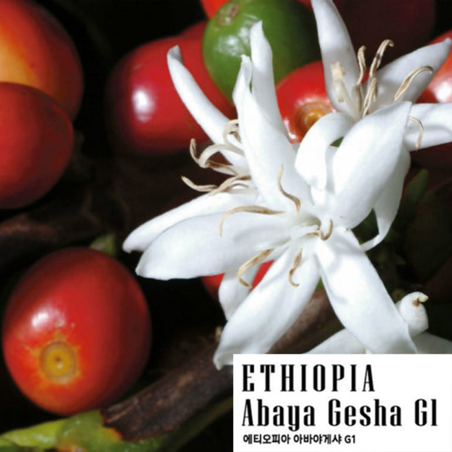 에티오피아 게이샤 G1 내추럴 원두 200g 홀빈 산미원두 싱글오리진 13월의태양 공정무역커피, 프렌치 프레스 분쇄, 1개